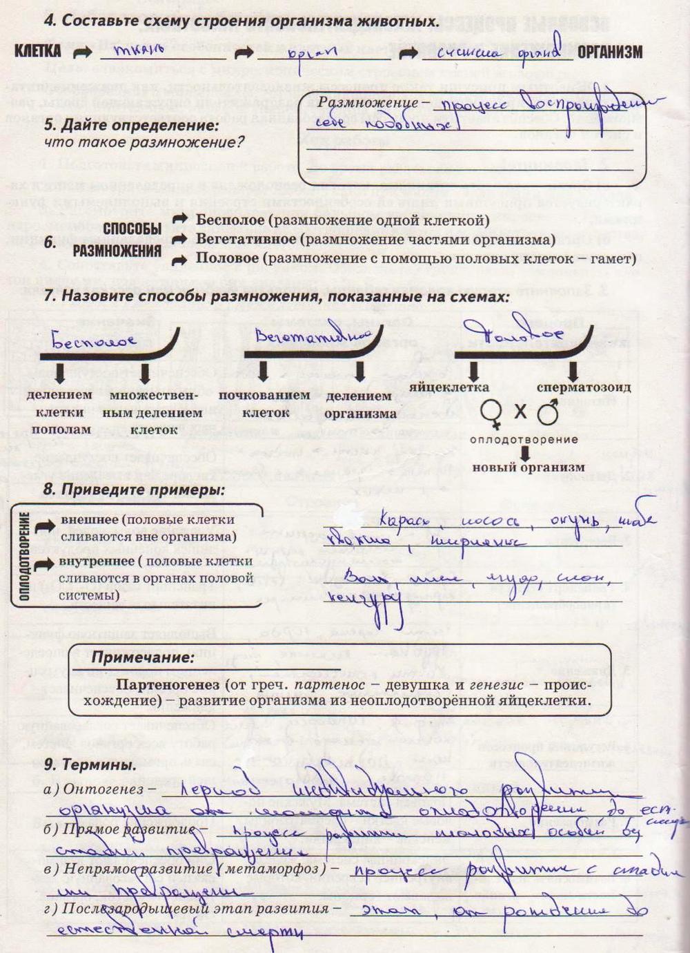 Составь схемы строения словосочетания Составь схемы строения словосочетания