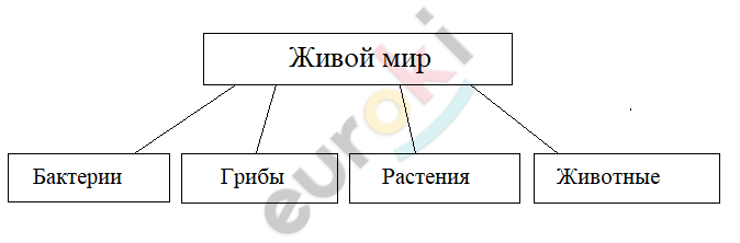 A picture containing text, diagram, line, screenshot Description automatically generated