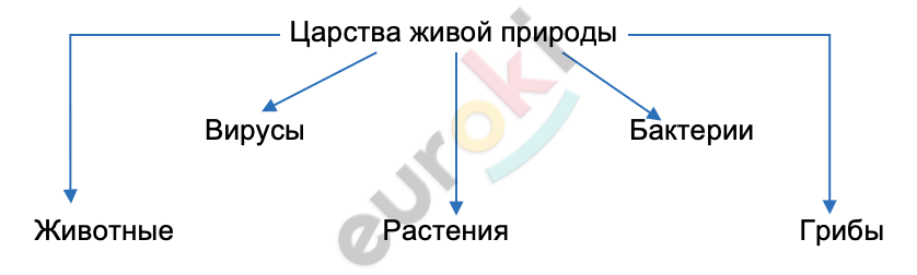 A diagram of a diagram Description automatically generated with medium confidence
