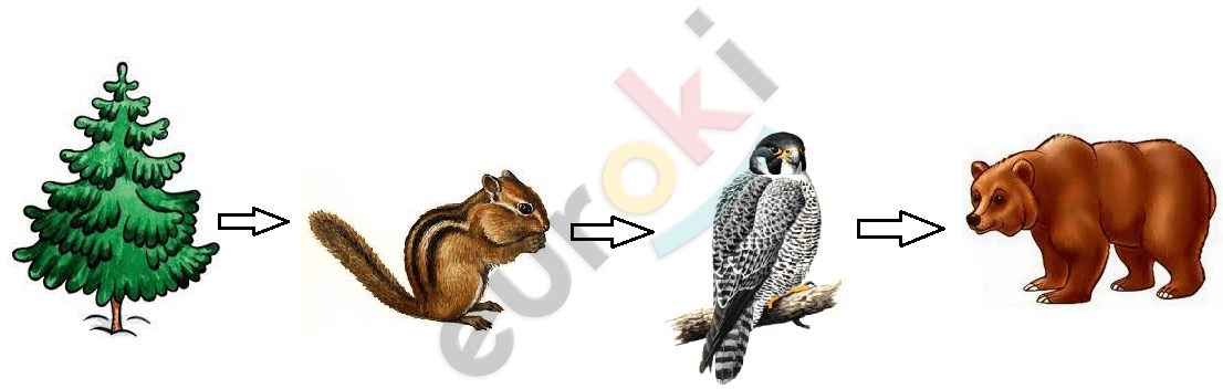 A squirrel and a bird Description automatically generated