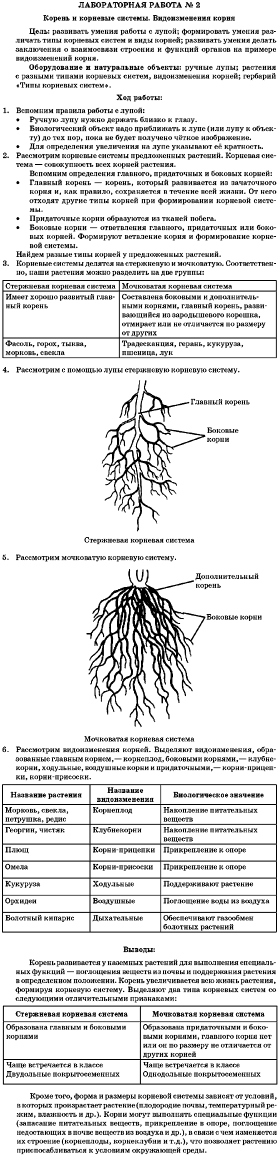Лабораторная работа номер 10 7 класс биология