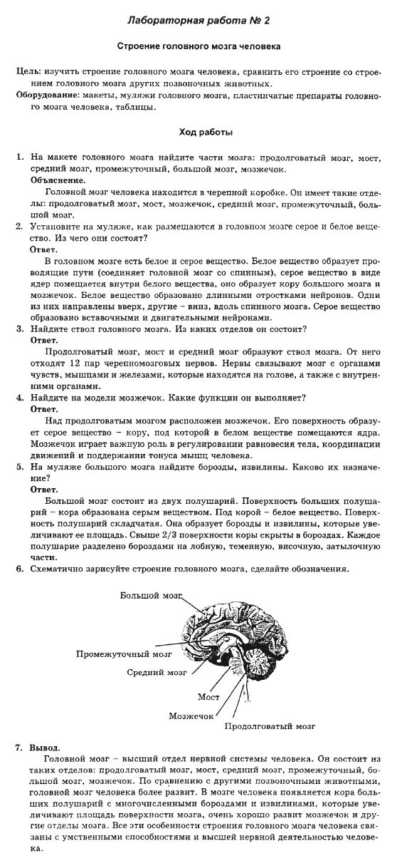 Гдз Ответы По Анатомии ответы по анатомии гдз