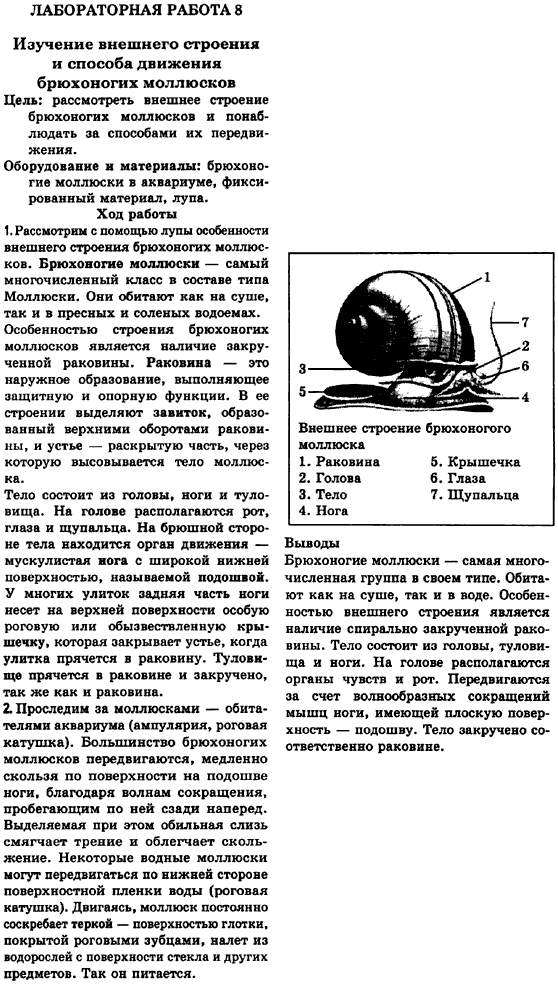 Решебник по биологии 7 класс лабораторний зошит андерсон онлайн бесплатно