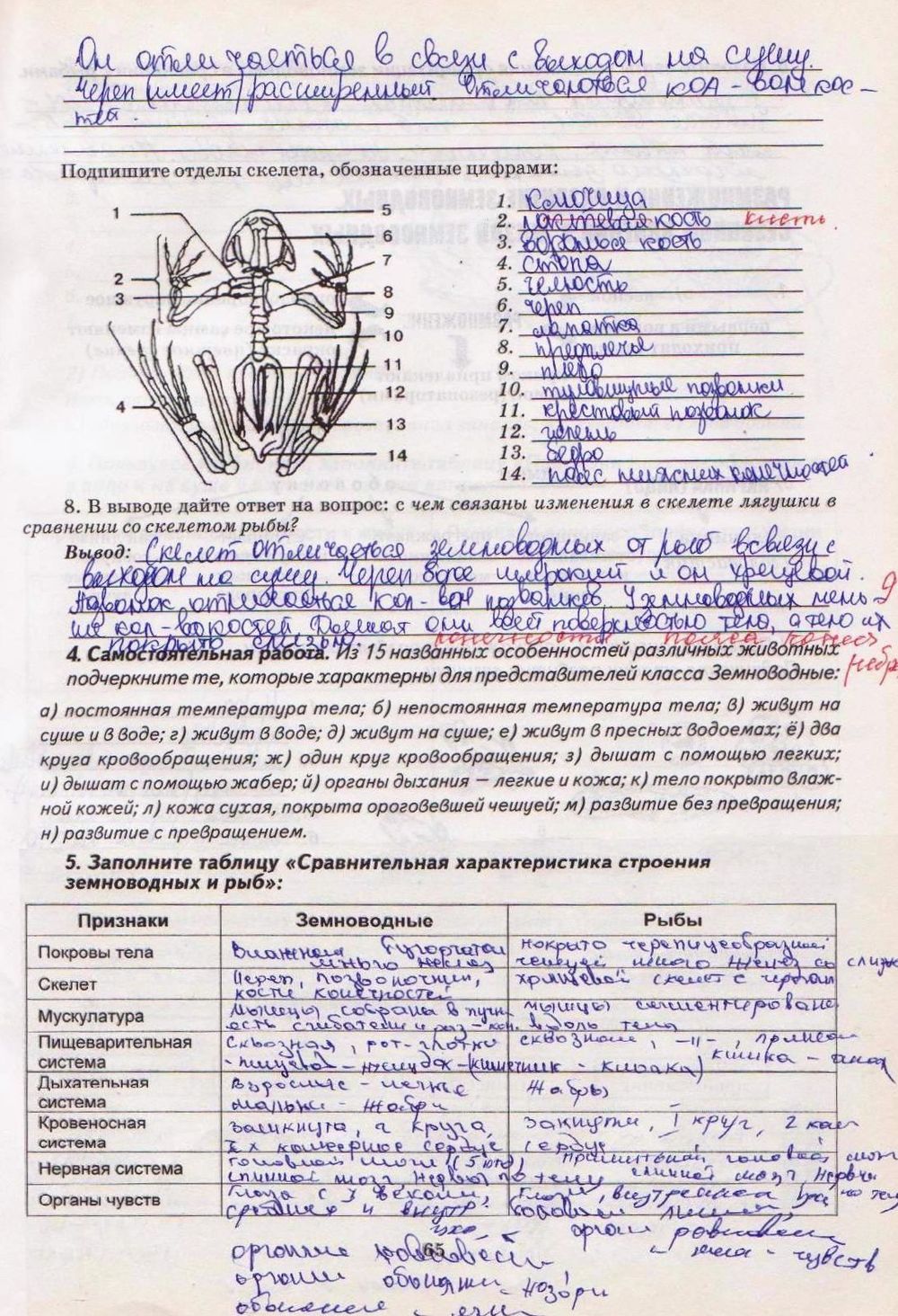 Решебник к тетради по биологии 8 класс калинчук решебник к тетради по биологии 8 класс калинчук