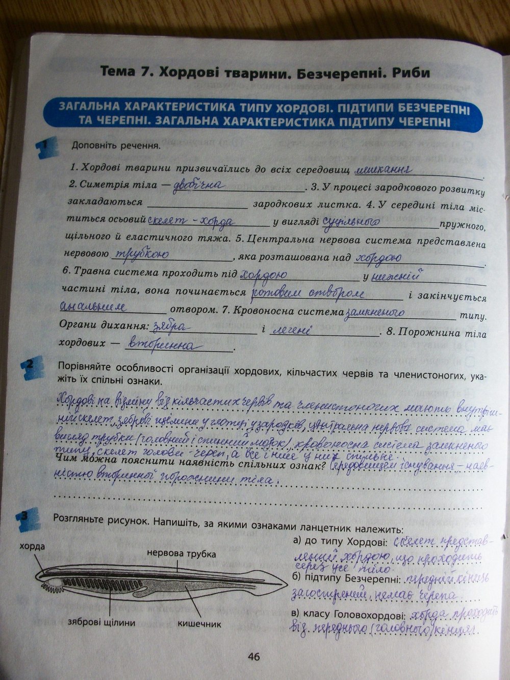 Гдз На Биологию Печатный Зошыт И О Демичева зошыт печатный на демичева о гдз биологию и