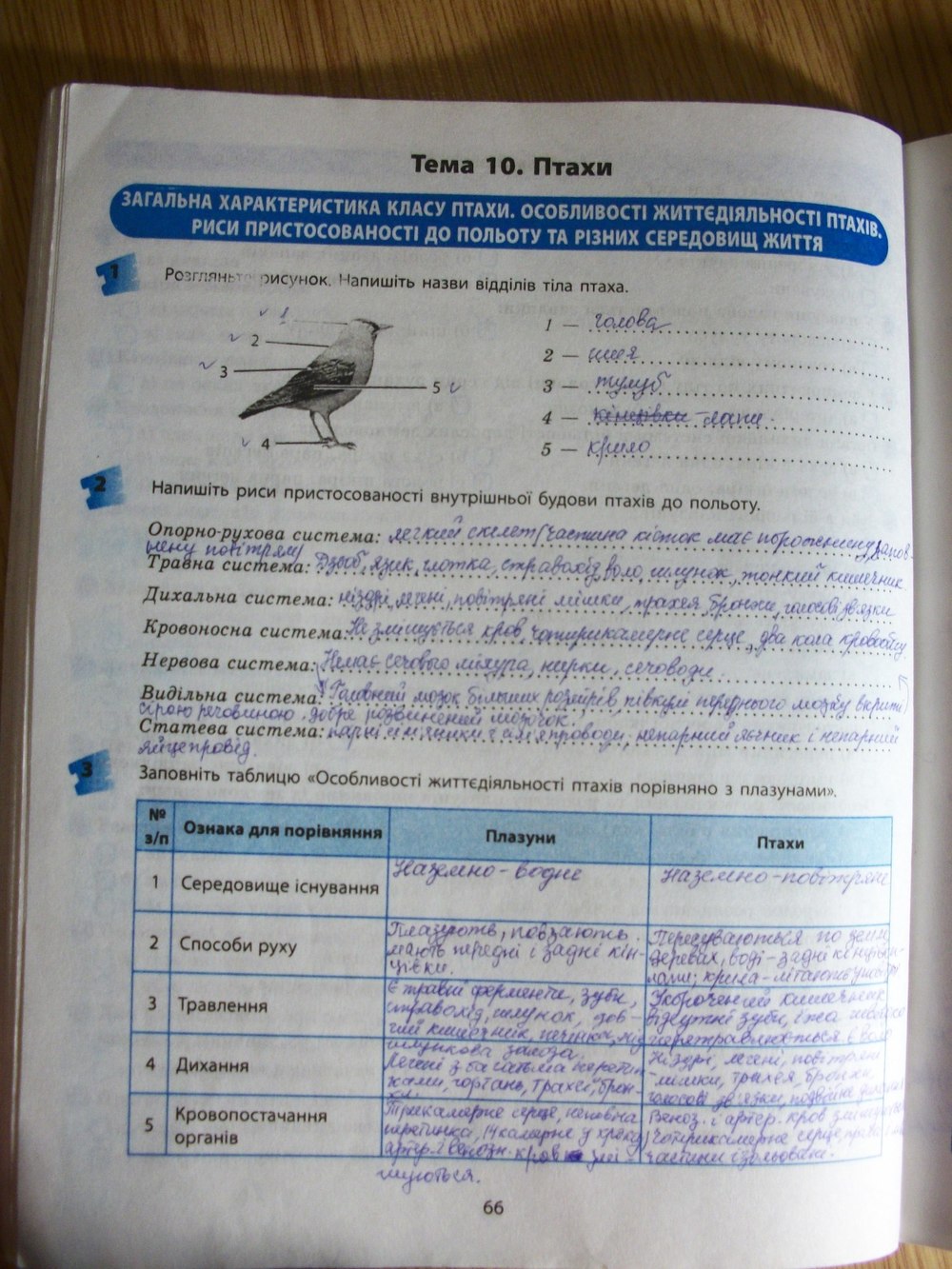 Гдз за 9 класс по биологии котик Гдз за 9 класс по биологии котик