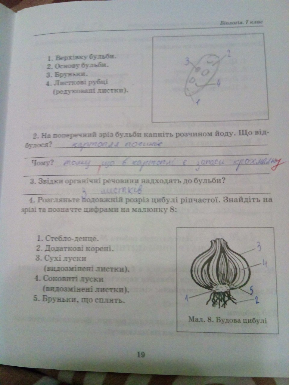 Биология За 7 Класс Рабочая Тетрадь Т С Котик Решебник Биология За 7 Класс Рабочая Тетрадь Т С Котик Решебник