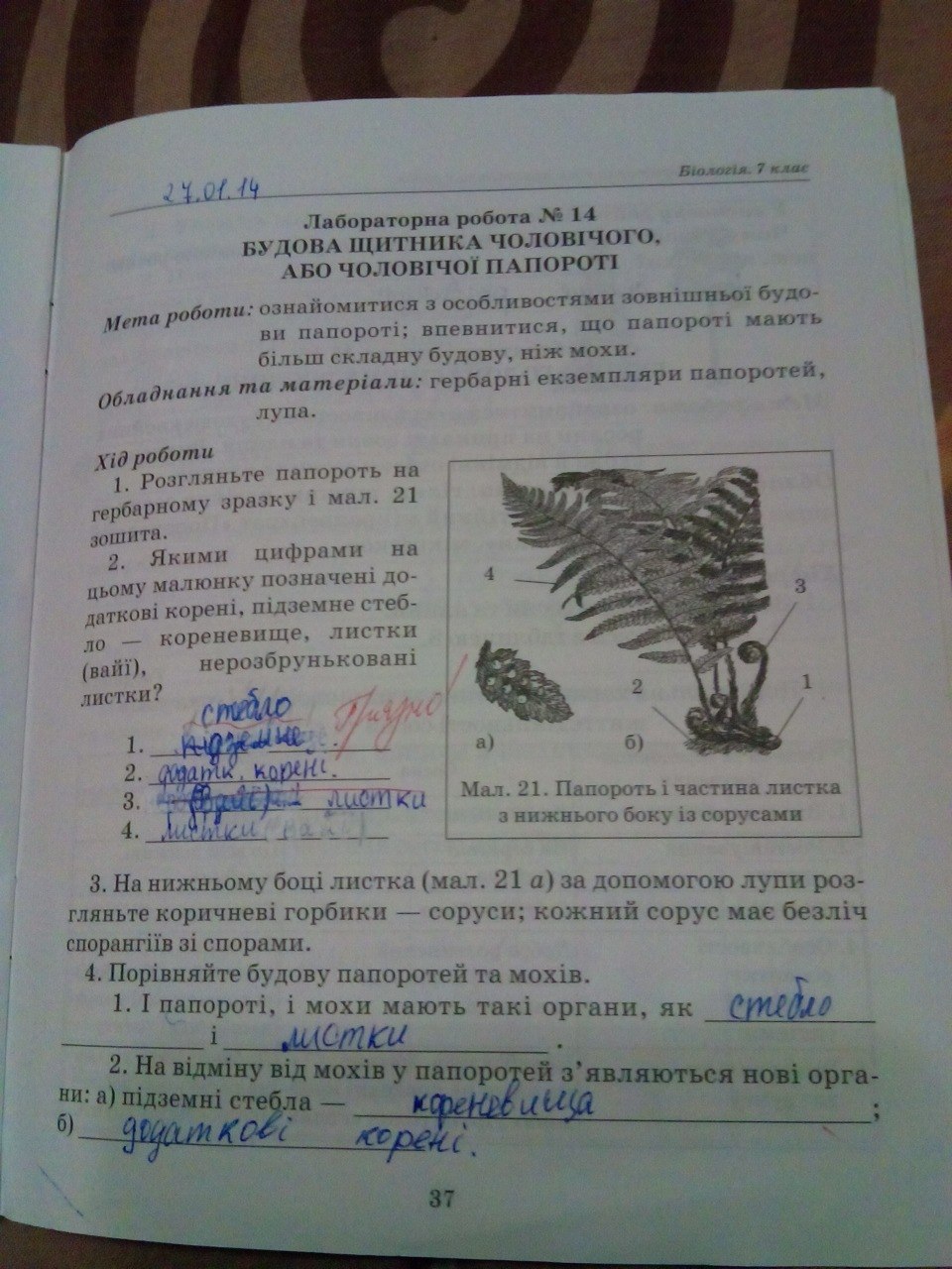 Гдз 7 Клас Біологія Робочий Зошит Опаренюк Нова Програма Клас опаренюк біологія зошит гдз програма робочий 7 нова