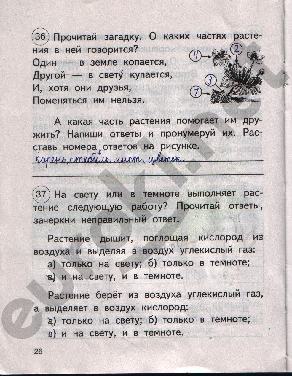 Гдз окружающий мир тетрадь 2 класс номер 2 федотова гдз окружающий мир тетрадь 2 класс номер 2 федотова
