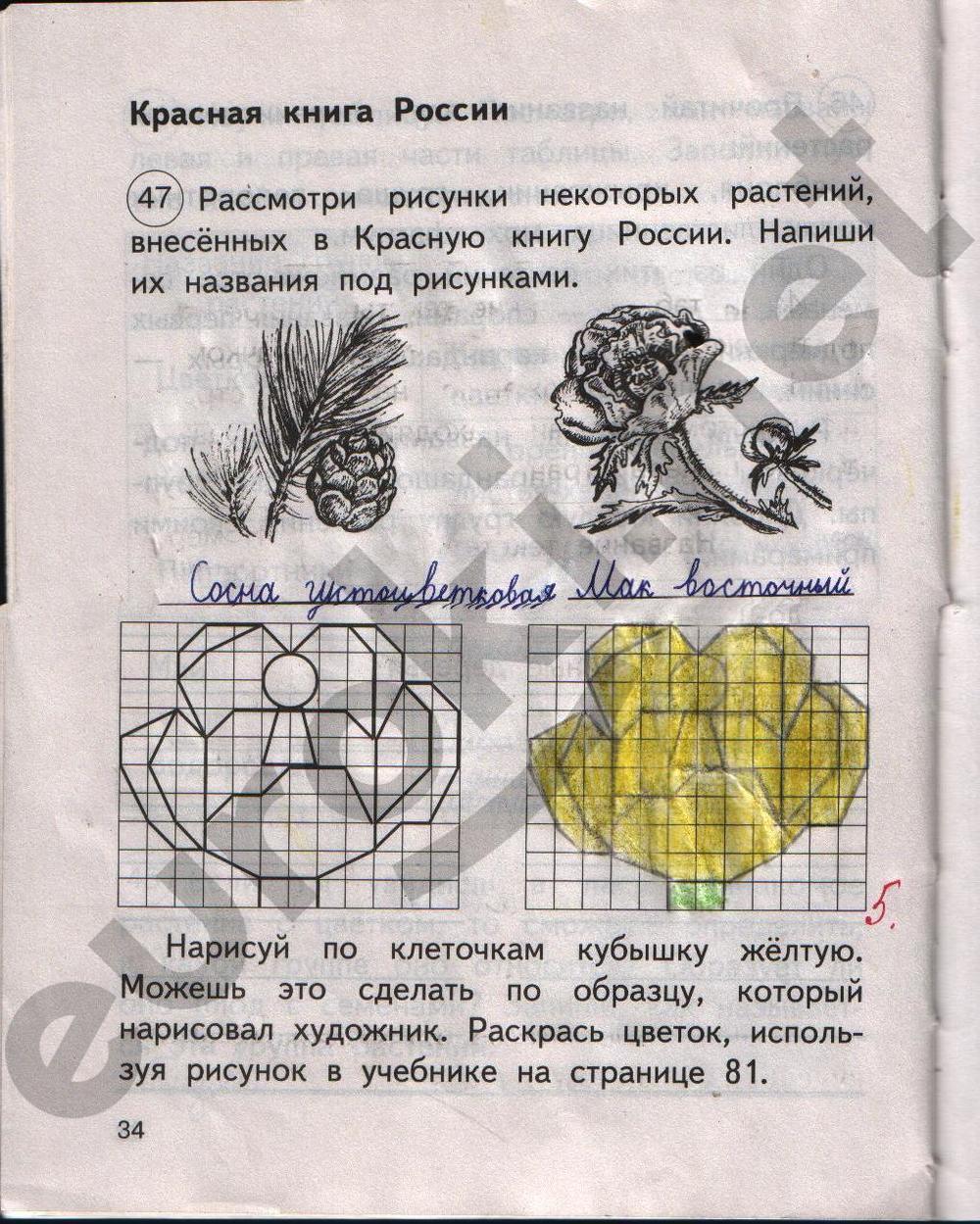 Гдз Окружающий Мир Тетрадь 2 Класс Номер 2 Федотова Окружающий федотова номер мир класс 2 2 гдз тетрадь