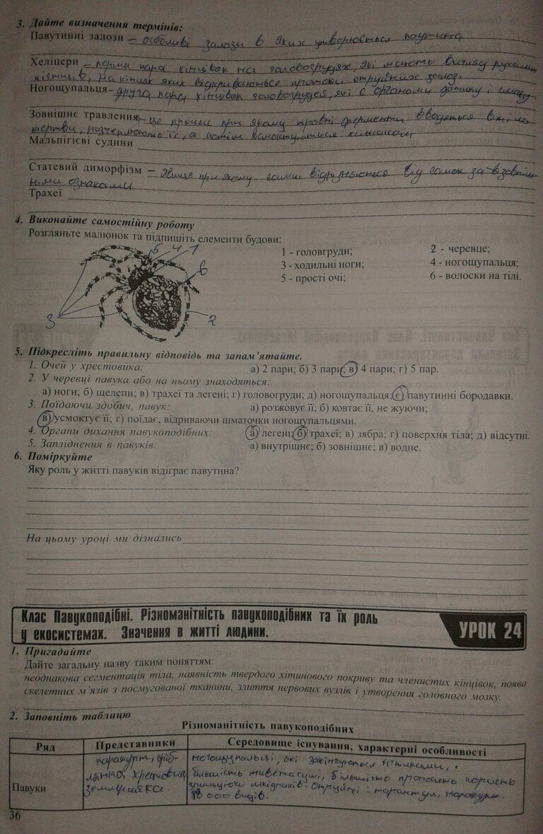 Гдз До Зошита З Біології 10 Клас Поліщук До з поліщук біології зошита гдз 10 клас