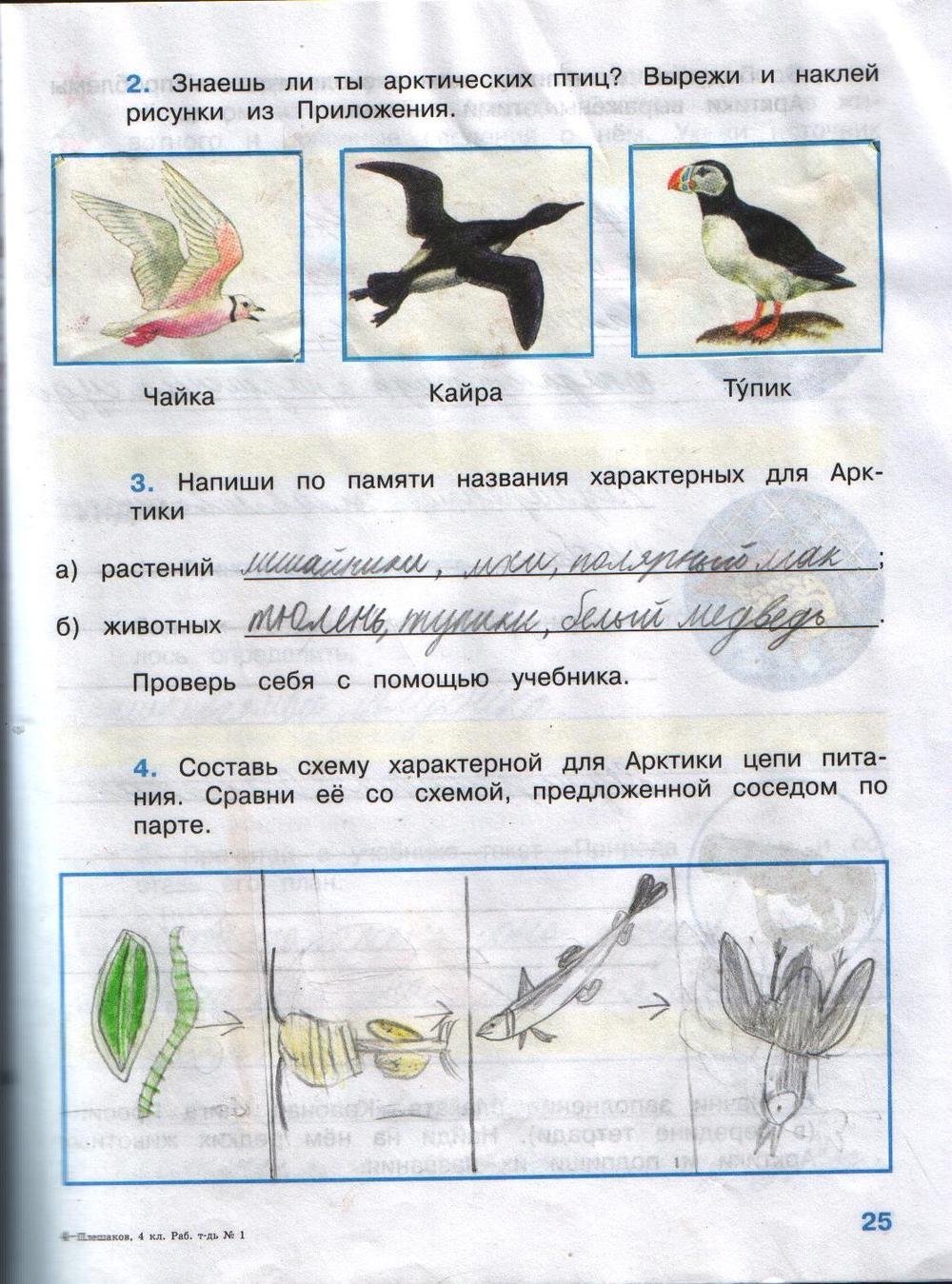 Гдз По Окружающему 4 Класс Плешакова Крючкова Рабочая Тетрадь Плешакова класс крючкова тетрадь 4 рабочая гдз по окружающему