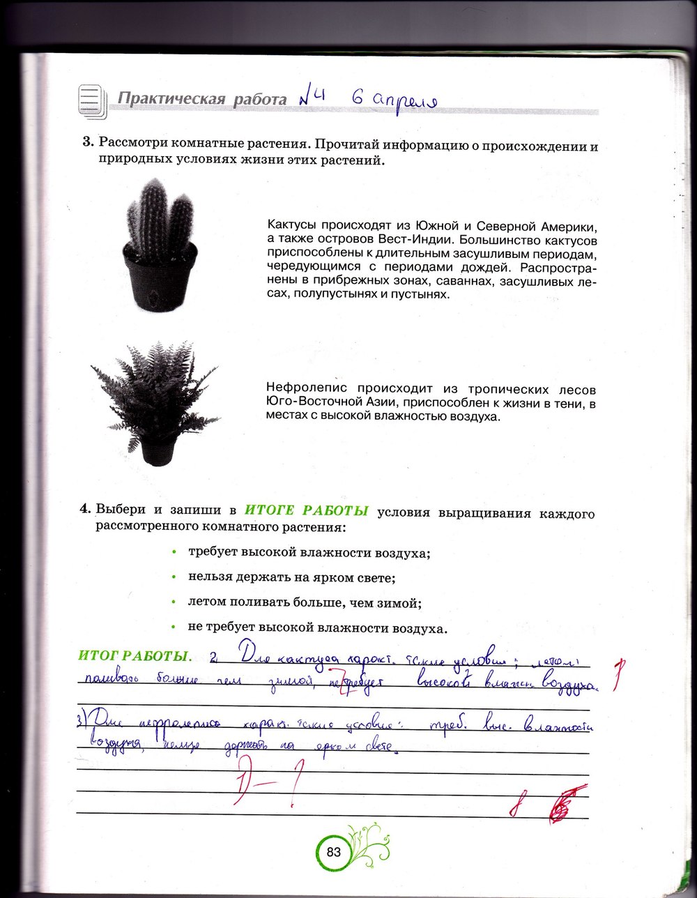 Гдз 6 класс биология рабочая тетрадь андерсон Гдз 6 Класс Биология Рабочая Тетрадь Андерсон