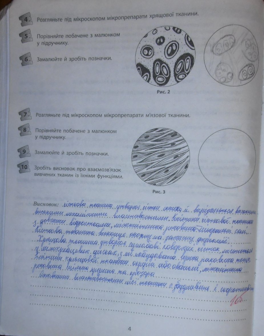 Гдз з практикума биологии за 7 клас т с котик Гдз З Практикума Биологии За 7 Клас Т С Котик