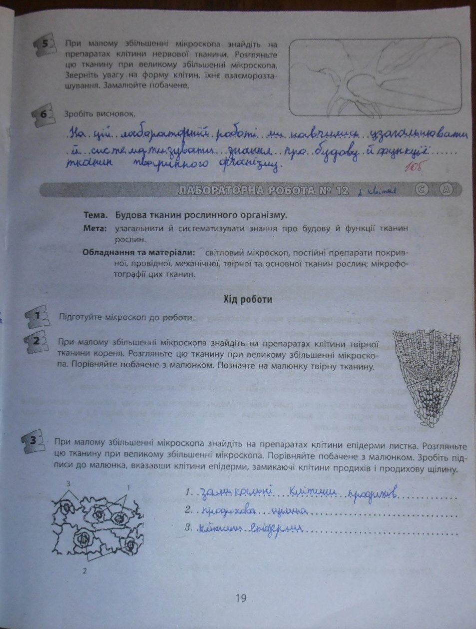 Биология 8 Клас Зошит Для Лабороторних Робит Т.с.котик Гдз биология 8 клас зошит для лабороторних робит т.с.котик гдз