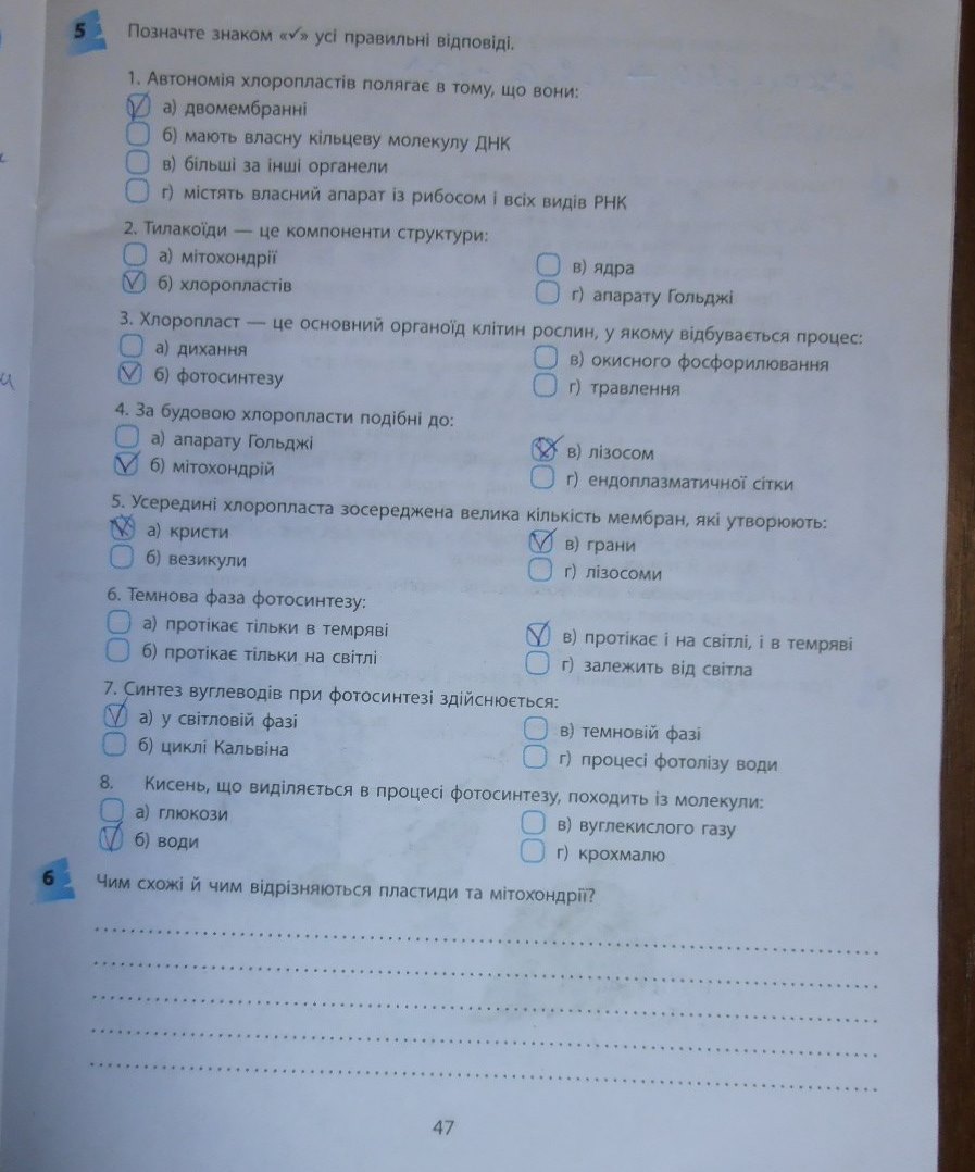 Гдз 11 клас котик тагліна Гдз 11 Клас Котик Тагліна
