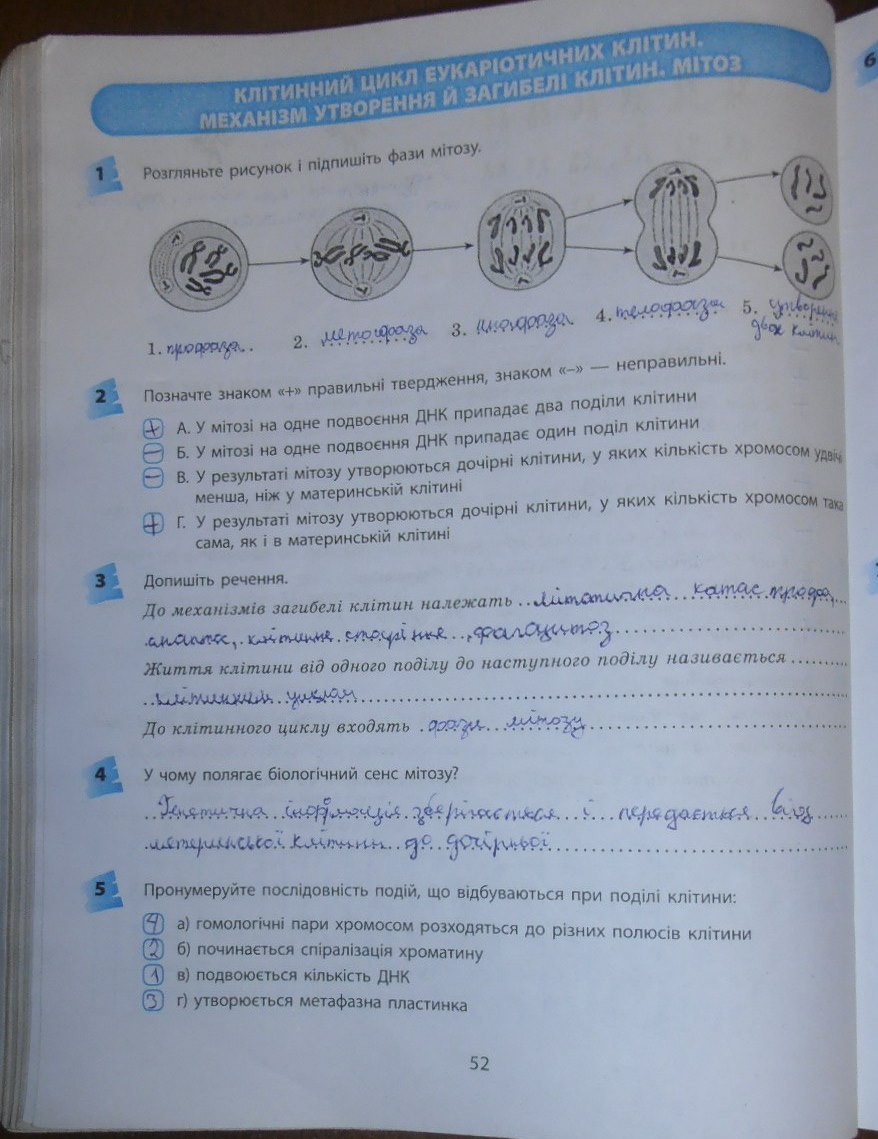 Біологія Тагліна Гдз гдз біологія тагліна