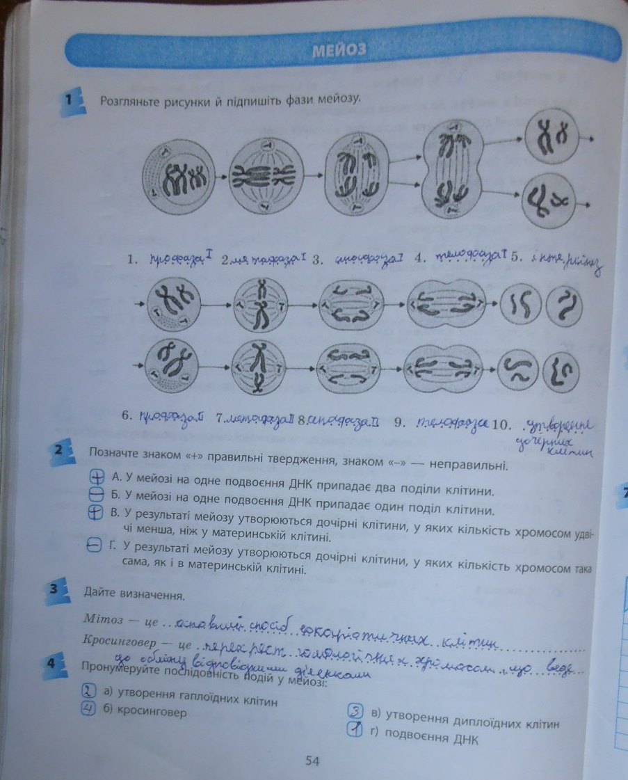 Біологія Тагліна Гдз Гдз біологія тагліна