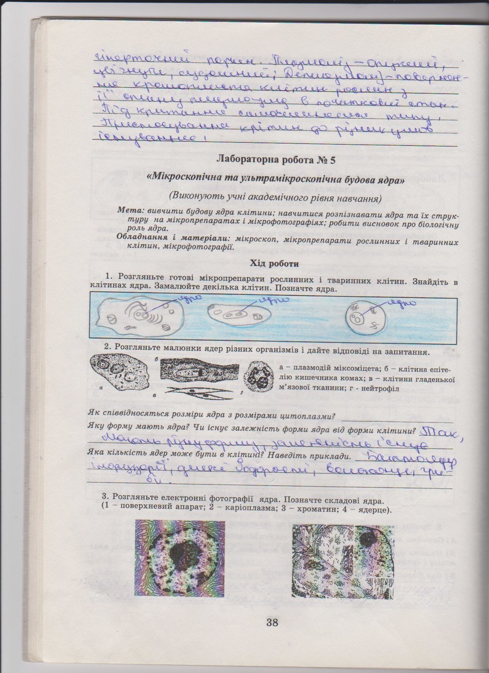 Гдз по зошиту з биологий гусева