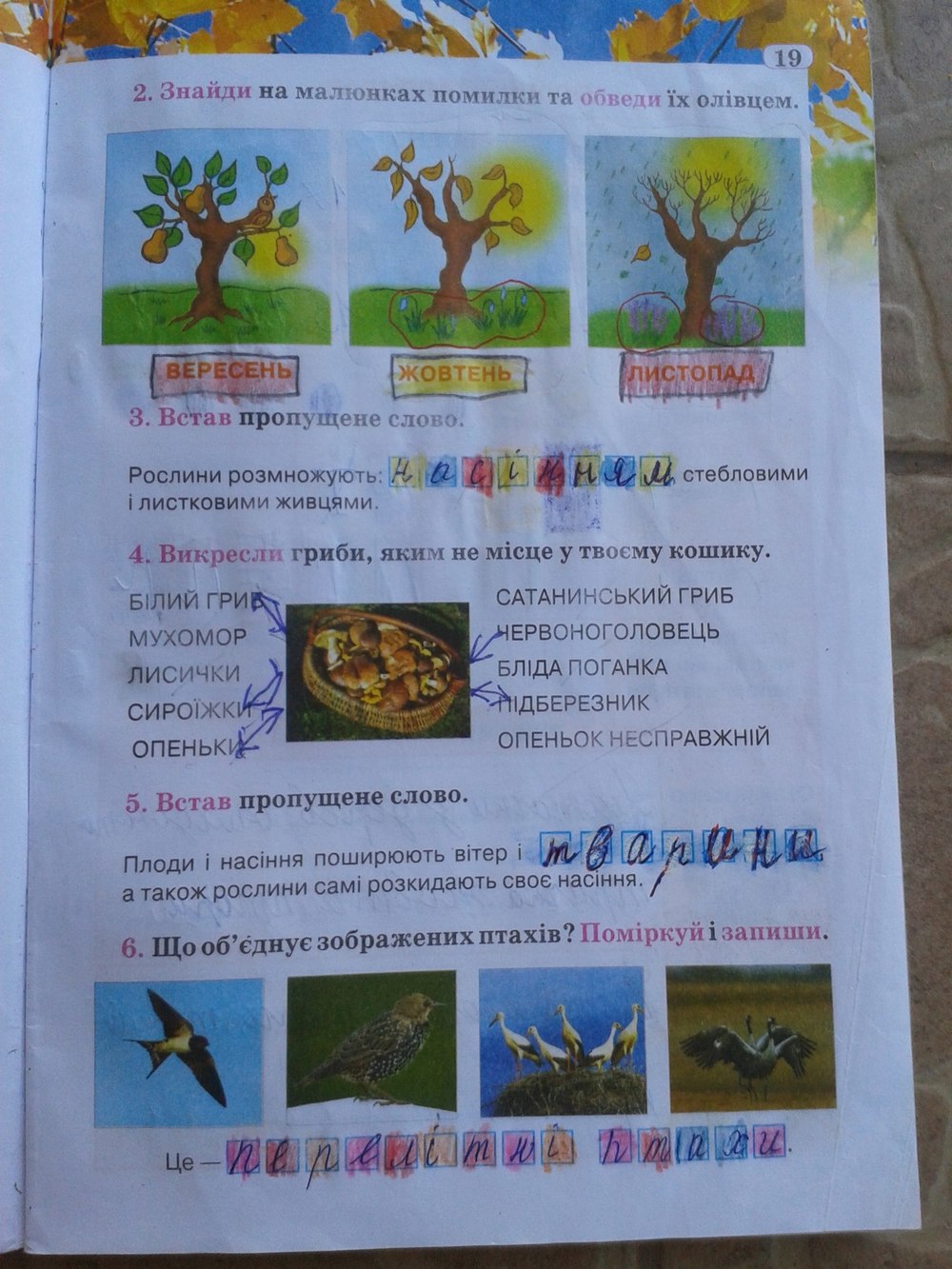 Гдз 4 Клас Природознавство Робочий Зошит Грущинська Відповіді 2018 Гдз 4 клас природознавство робочий зошит грущинська відповіді 2018
