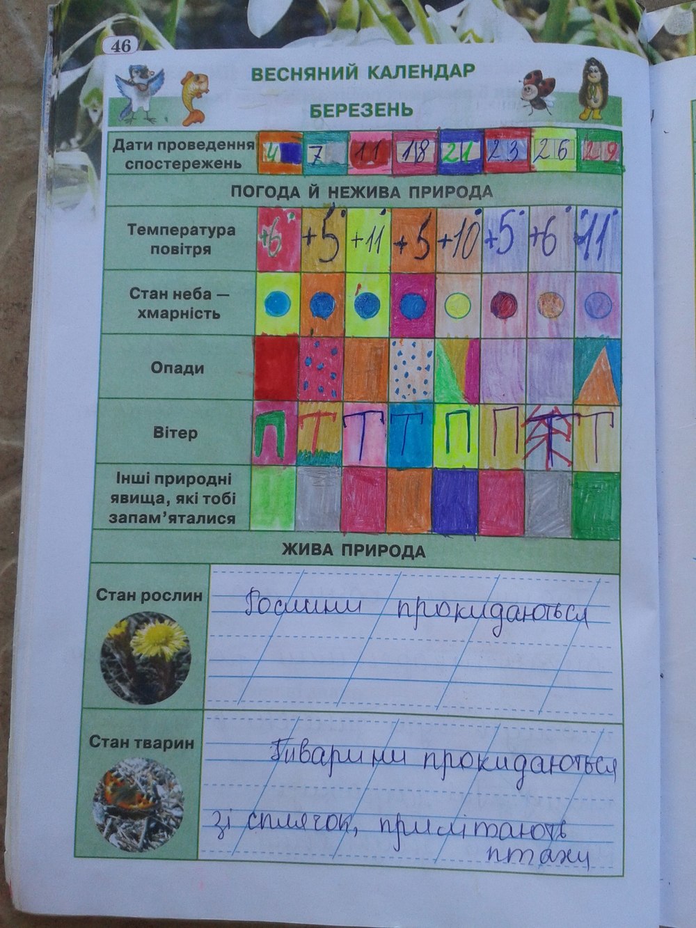 Гдз 4 клас природознавство робочий зошит грущинська відповіді 2018 гдз 4 клас природознавство робочий зошит грущинська відповіді 2018