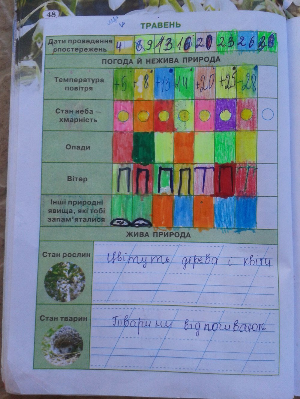 Гдз 4 клас природознавство робочий зошит грущинська відповіді 2018 зошит 2018 відповіді клас 4 природознавство робочий грущинська гдз