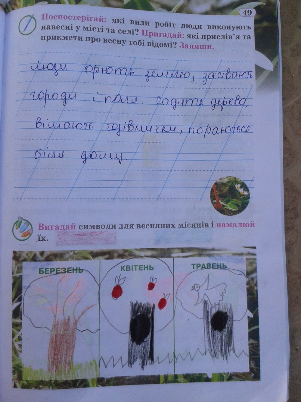 Гдз 4 Клас Природознавство Робочий Зошит Грущинська Відповіді 2018 Гдз 4 Клас Природознавство Робочий Зошит Грущинська Відповіді 2018