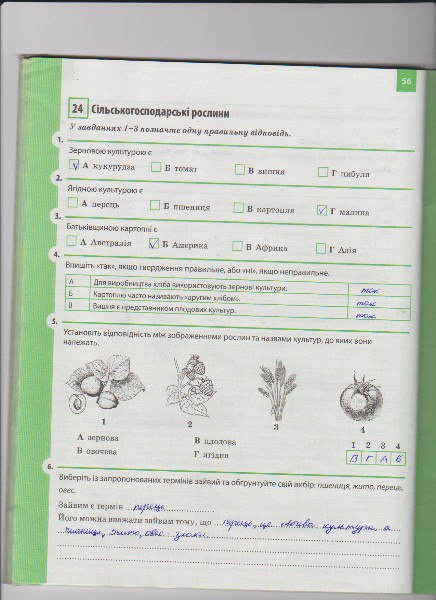 Гдз По Биология 6 Класс Задорожный Гдз По Биология 6 Класс Задорожный