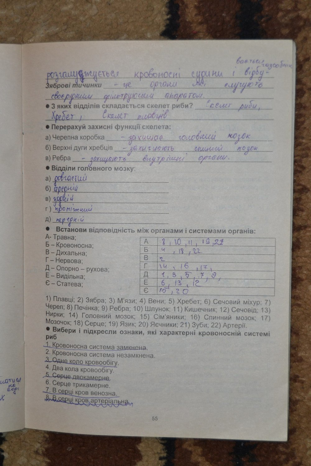 Гдз 7 Клас Біологія Робочий Зошит Опаренюк Нова Програма програма опаренюк 7 зошит клас нова гдз робочий біологія