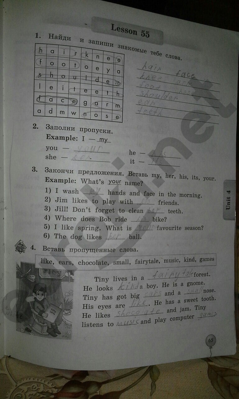 Гдз Английский Язык 3 Класс Биболетова Рабочая Тетрадь Задания Гдз Английский Язык 3 Класс Биболетова Рабочая Тетрадь Задания