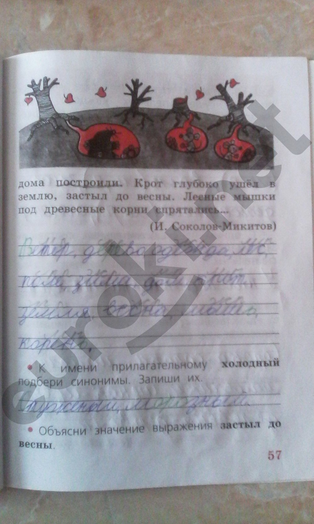 Готовые Домашние Задания По Русскому Языку 2 Класс Печатная Тетрадь домашние по класс русскому тетрадь печатная языку 2 готовые задания