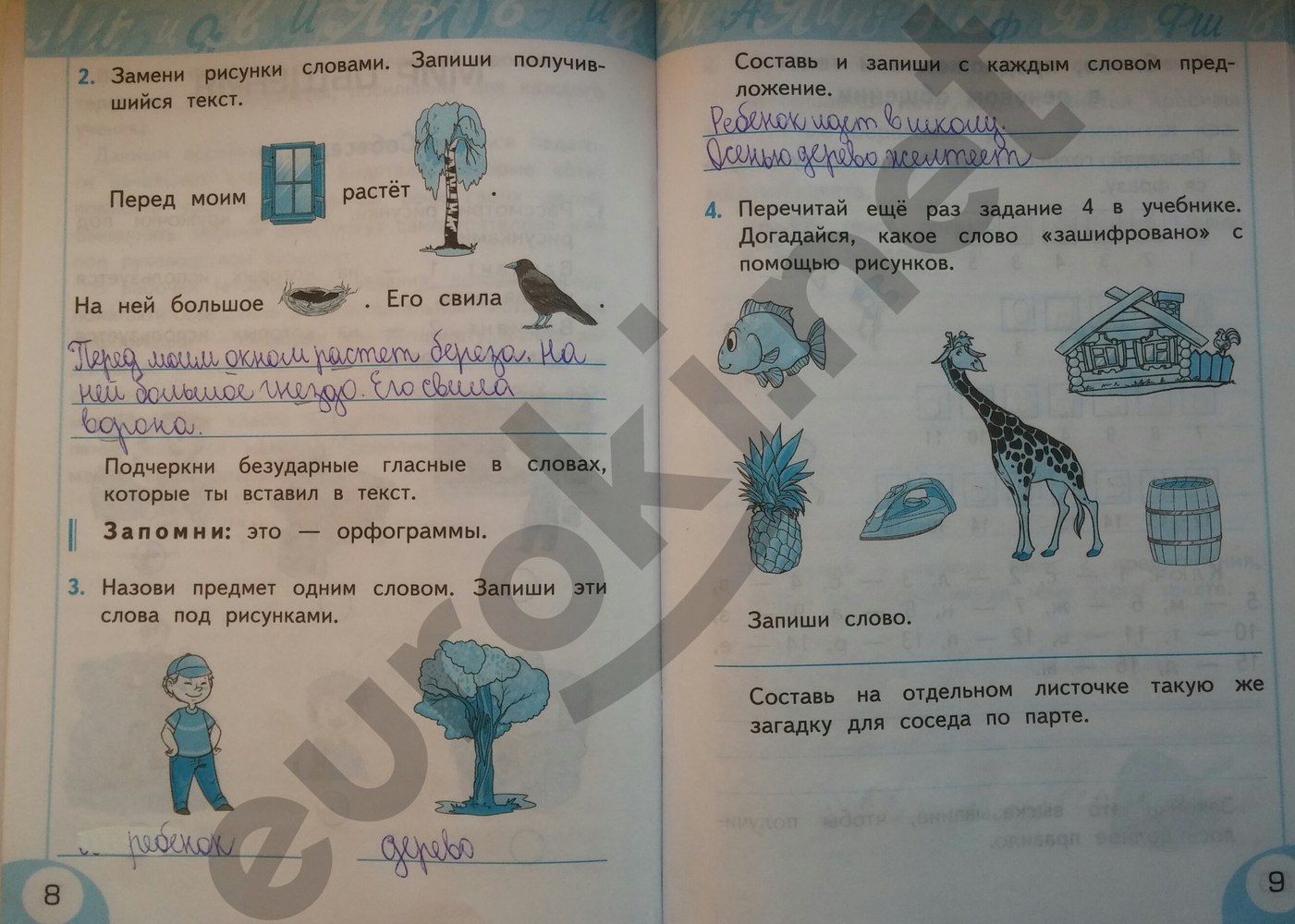 Составь описание известной тебе птицы по плану 2 класс русский язык рабочая тетрадь