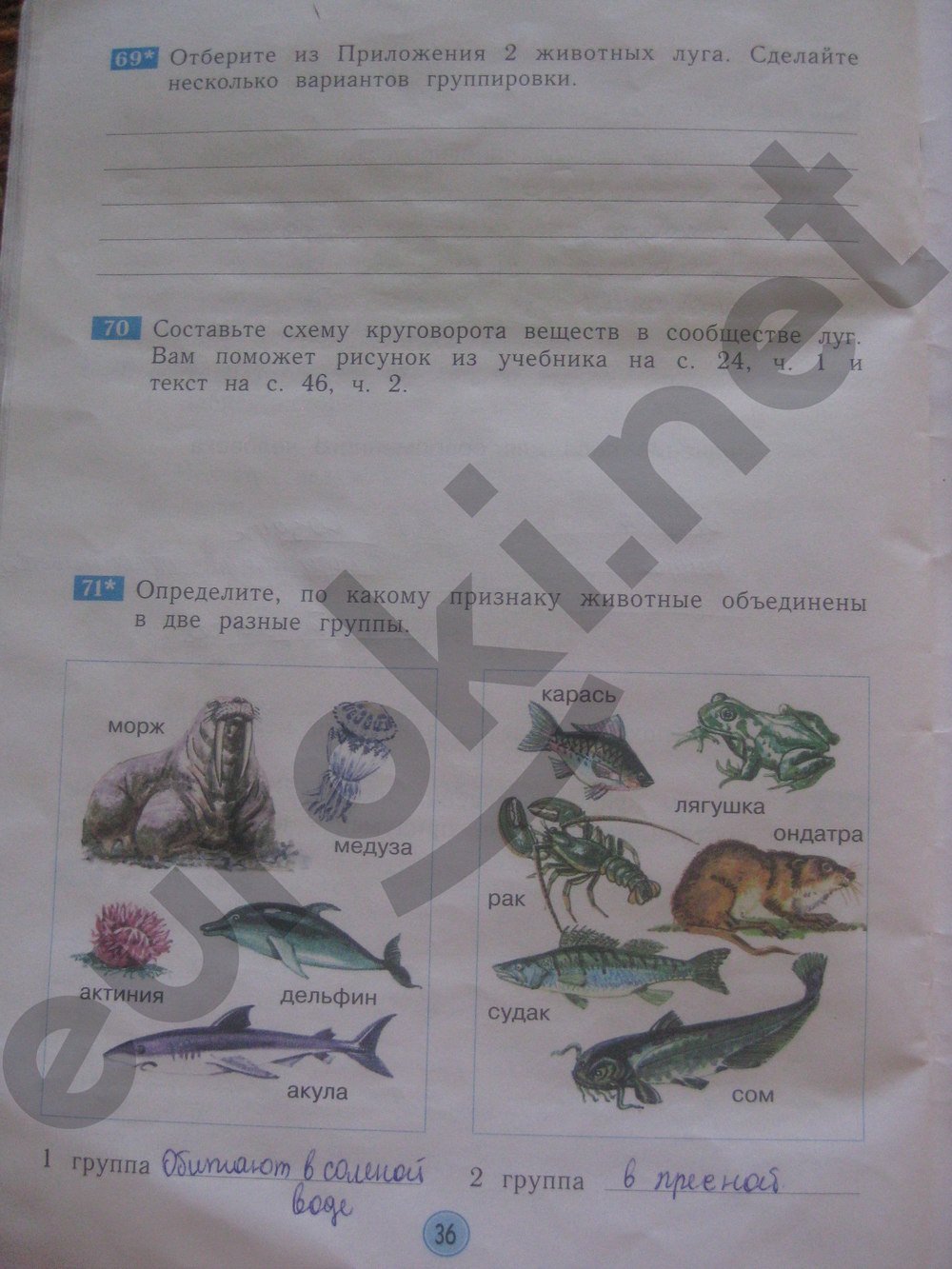 Гдз Окр Мир Дмитриева Гдз окр мир дмитриева