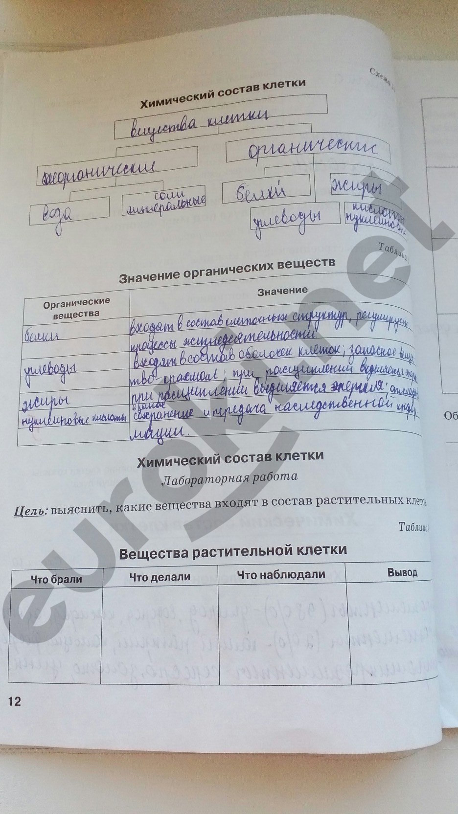 Ответы рабочие тетради 5 класс. Биология 6 класс рабочая тетрадь Бодрова зеленая. Биология 6 класс рабочая тетрадь Бодрова гдз. Гдз биология 5 класс Бодрова 8 стр. Гдз по биологии 5 класс рабочая тетрадь Бодрова.