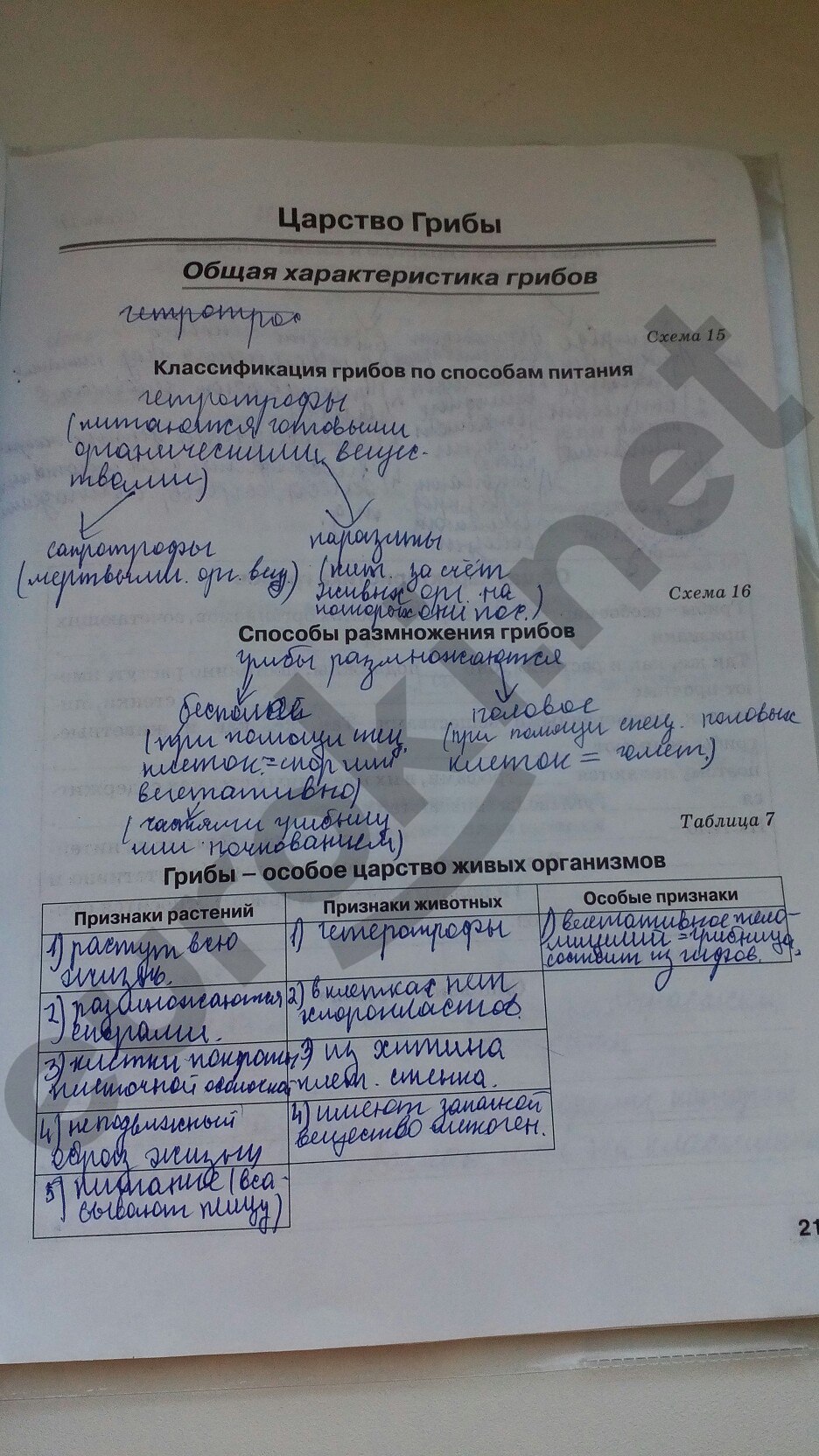 Решебник по биологии 6 класс рабочая тетрадь автор бодрова 2018 6 бодрова решебник автор тетрадь 2018 по рабочая биологии класс