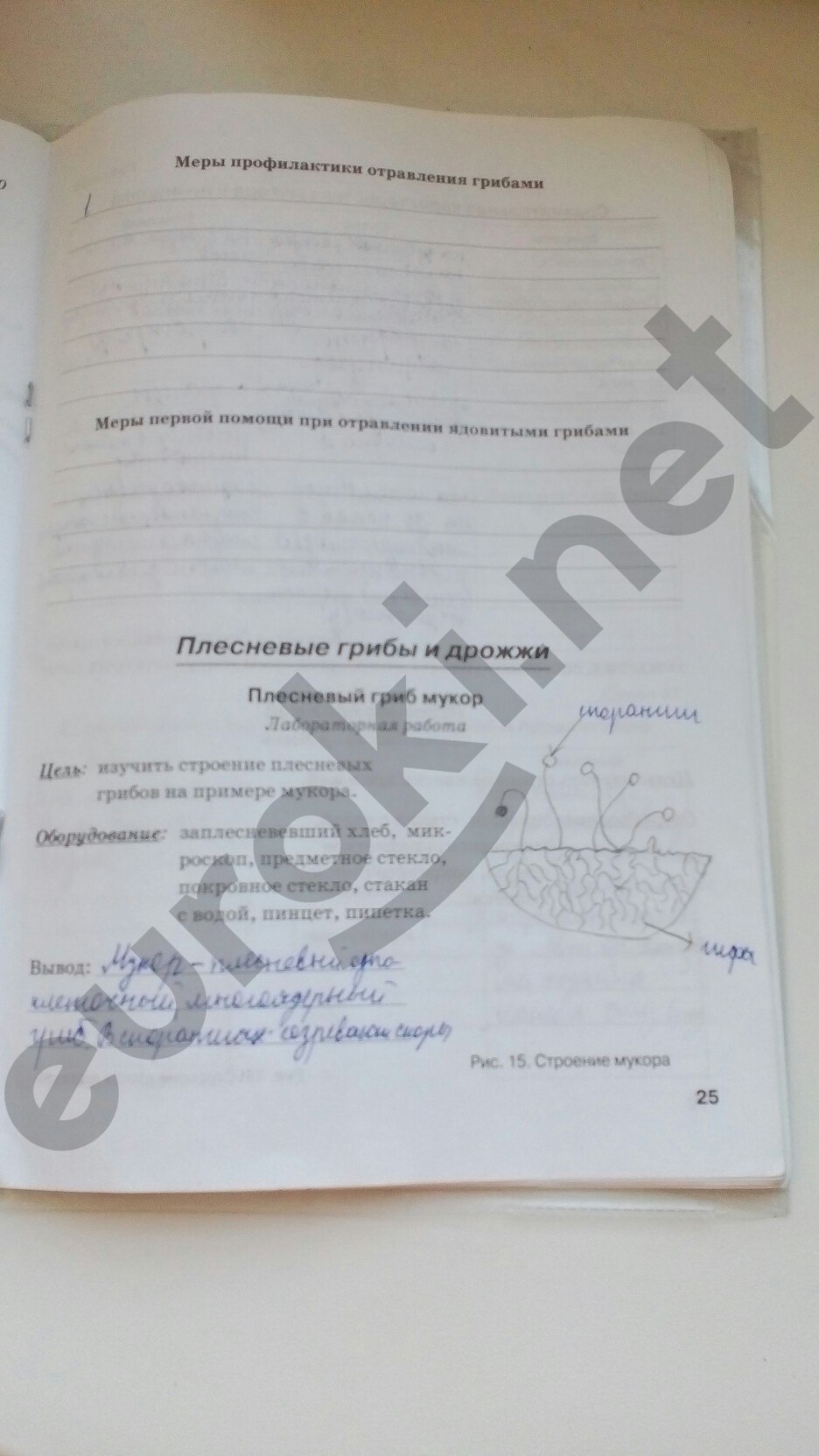 Решебник По Биологии 6 Класс Рабочая Тетрадь Автор Бодрова 2018 Решебник по биологии 6 класс рабочая тетрадь автор бодрова 2018