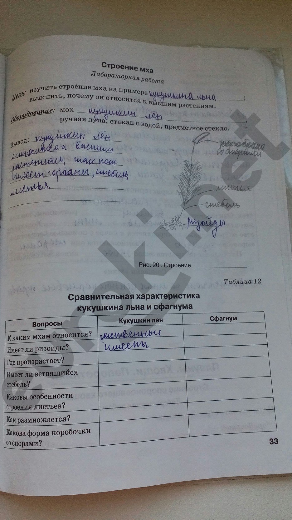 Гдз По Биологии 5 Класс Бодрова Фгос 5 бодрова фгос класс биологии гдз по