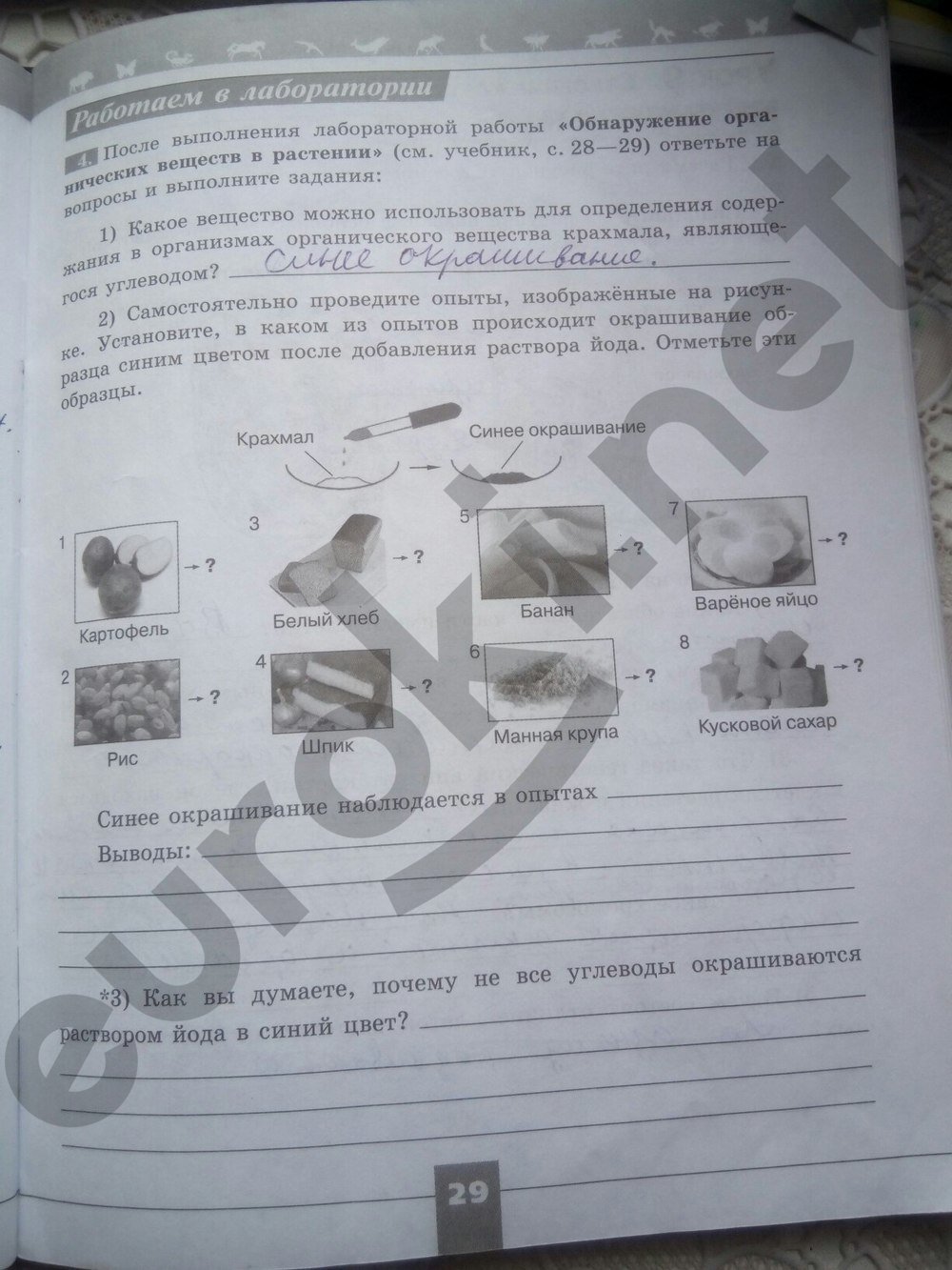 Гдз по биологии 5 класс пасечник рабочая тетрадь оранжевая 5 оранжевая класс тетрадь по биологии пасечник рабочая гдз