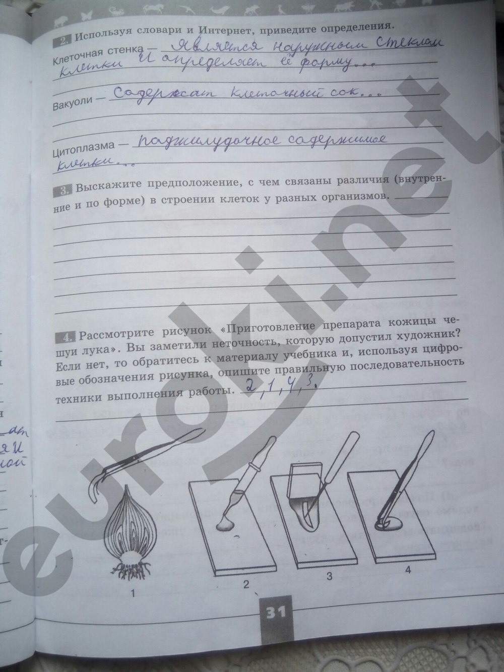 Биология 5 Класс В.в Пасечника Рабочая Тетрадь И Учебник Гдз Биология 5 Класс В.в Пасечника Рабочая Тетрадь И Учебник Гдз