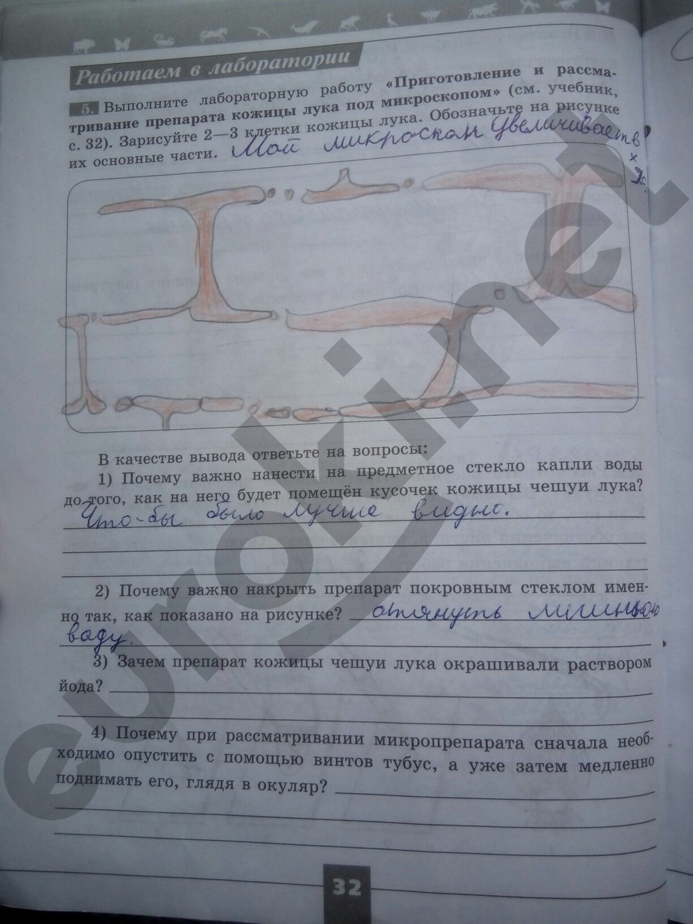 Гдз По Биологии 5 Класс Пасечник Рабочая Тетрадь Оранжевая Гдз По Биологии 5 Класс Пасечник Рабочая Тетрадь Оранжевая