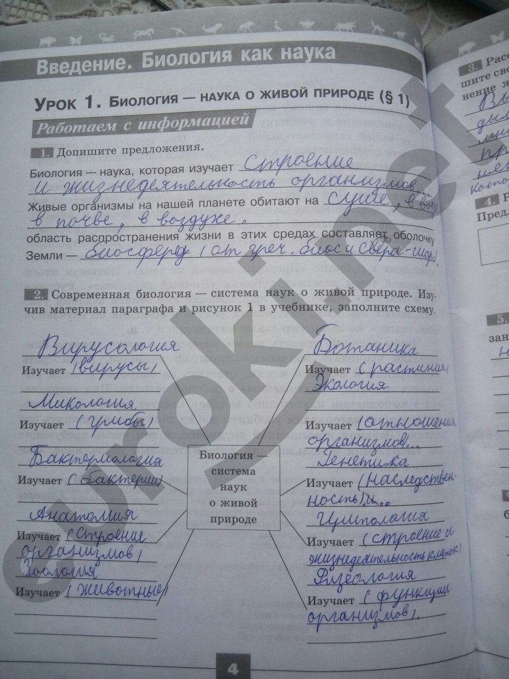 Гдз По Рабочей Тетради По Биологии 5 Класс Просвещение Гдз по рабочей тетради по биологии 5 класс просвещение