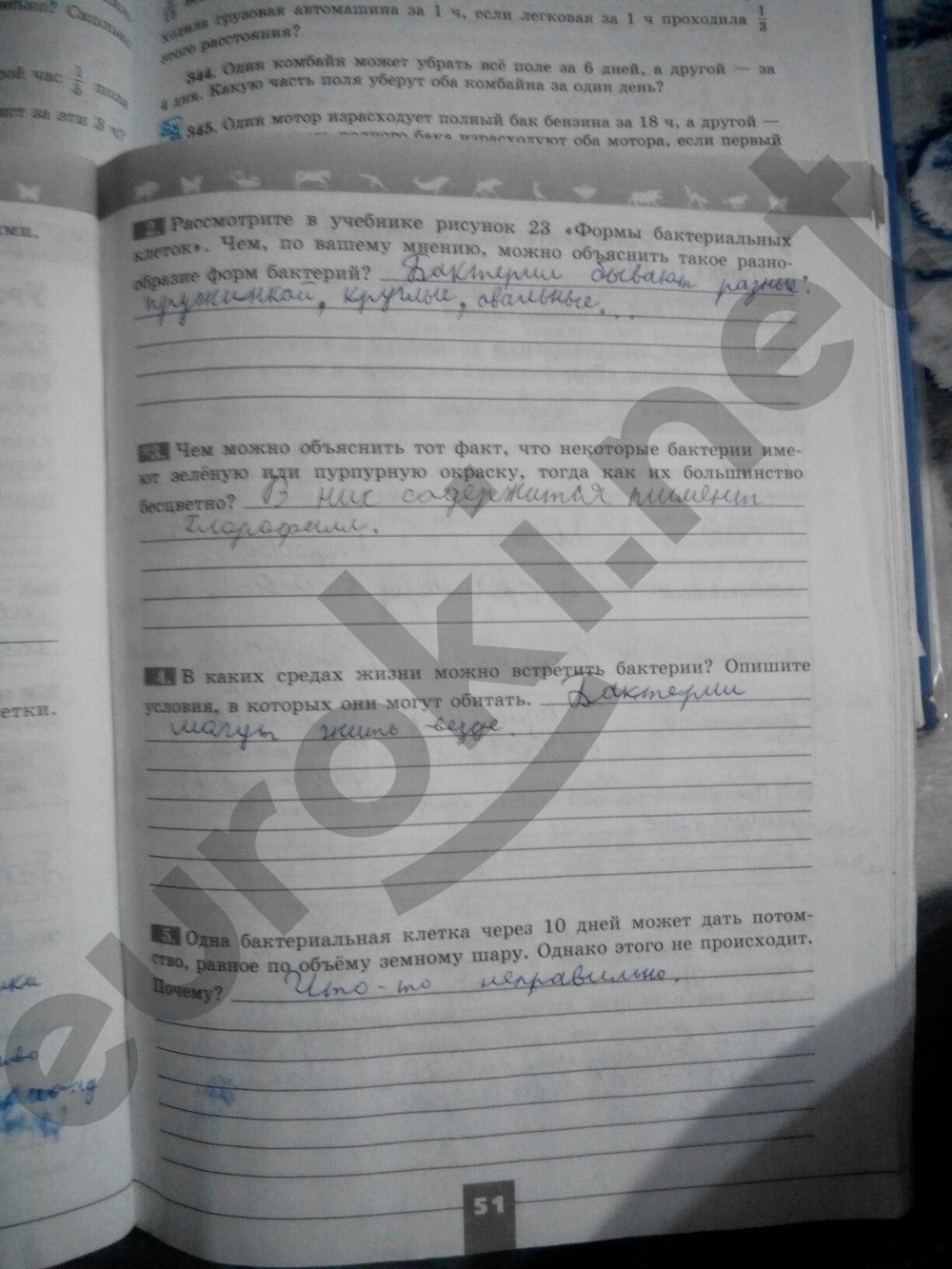 Гдз Биология 5 Класс Рабочая Тетрадь Пасечник 5 Издание Гдз Биология 5 Класс Рабочая Тетрадь Пасечник 5 Издание
