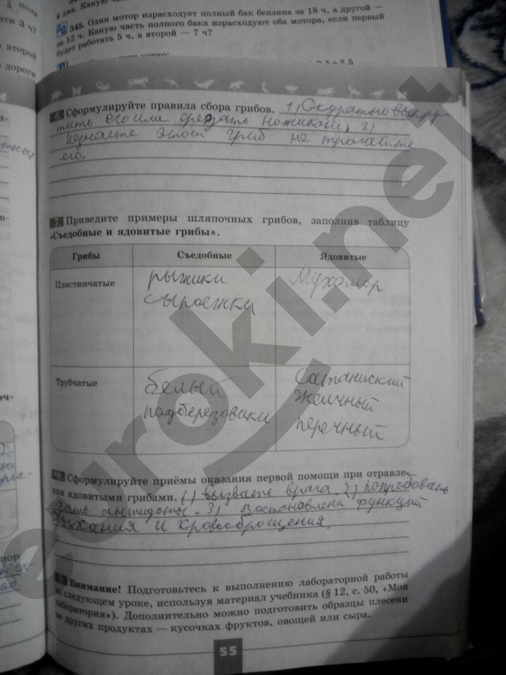 Гдз биология 5 класс рабочая тетрадь пасечник 2018 фгос Гдз Биология 5 Класс Рабочая Тетрадь Пасечник 2018 Фгос