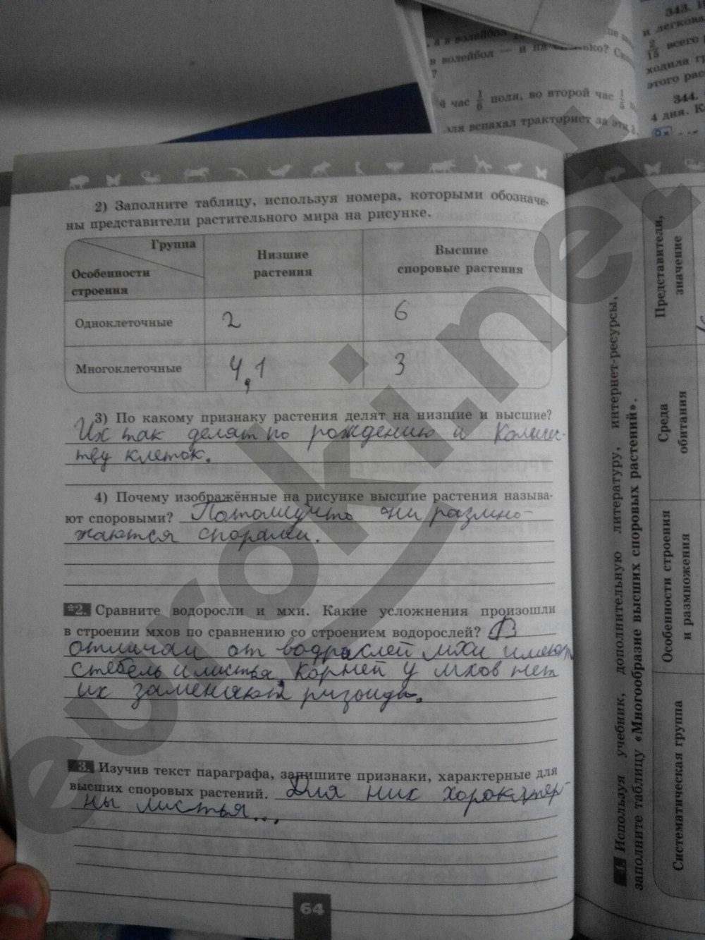 Гдз Печатная Тетрадь По Биологии 5 Класс Пасечника гдз печатная тетрадь по биологии 5 класс пасечника