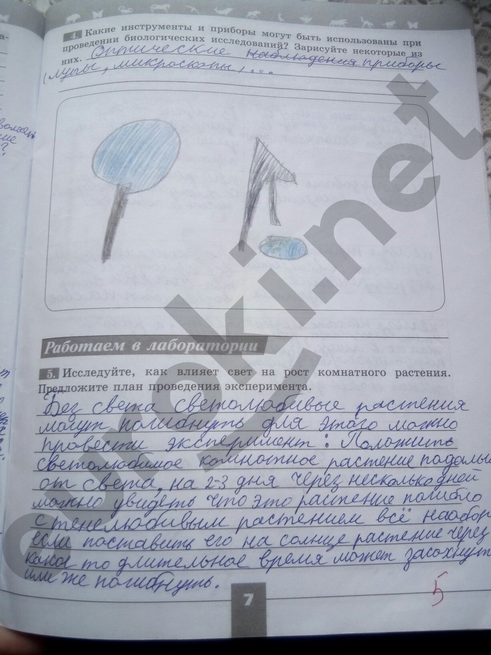 Гдз По Биологии 5 Класс Пасечник Рабочая Тетрадь Оранжевая Гдз По Биологии 5 Класс Пасечник Рабочая Тетрадь Оранжевая