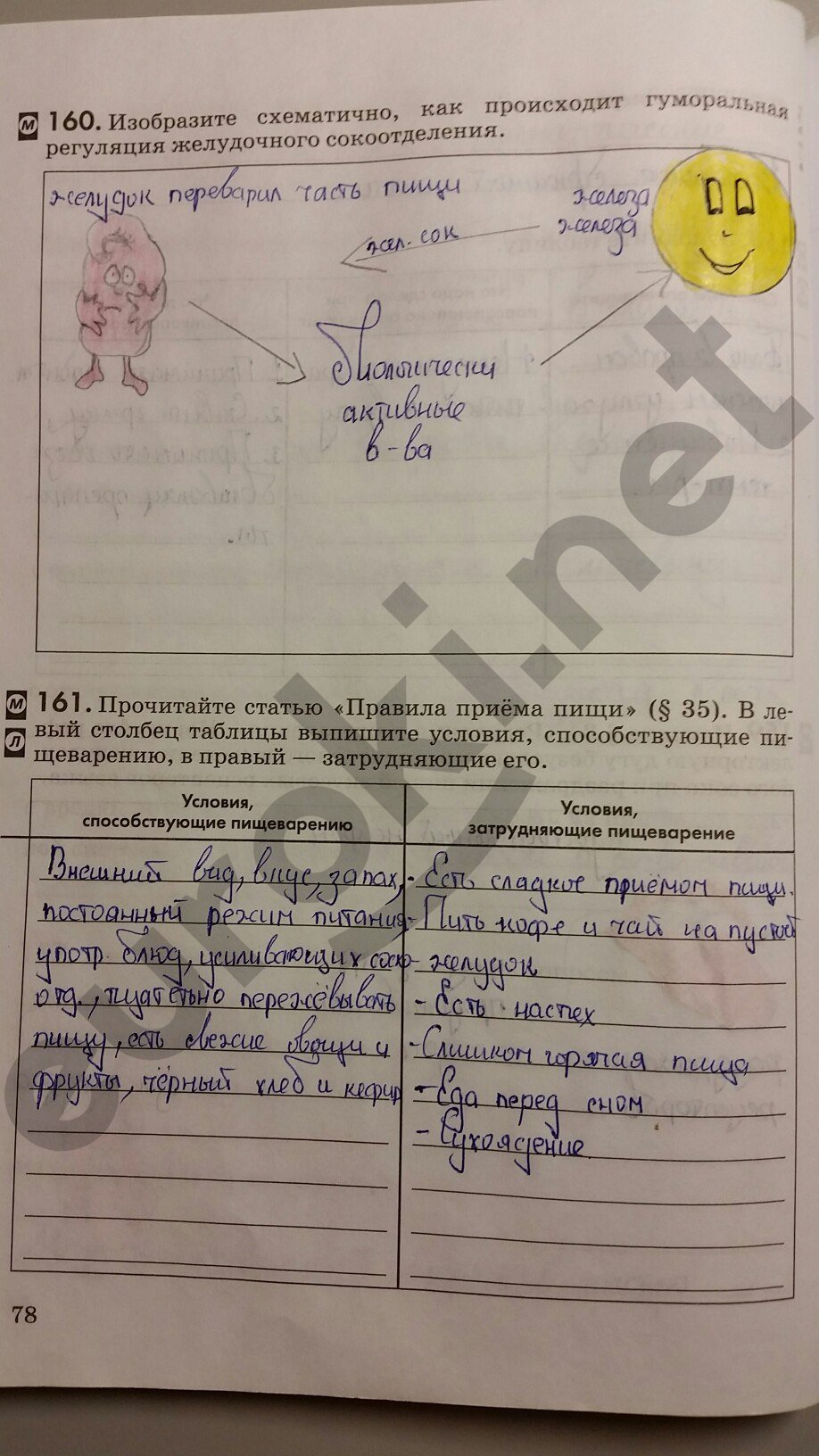 Решебник По Биологии 8 Класс Рабочая Тетрадь Колесов Маш Решебник по биологии 8 класс рабочая тетрадь колесов маш