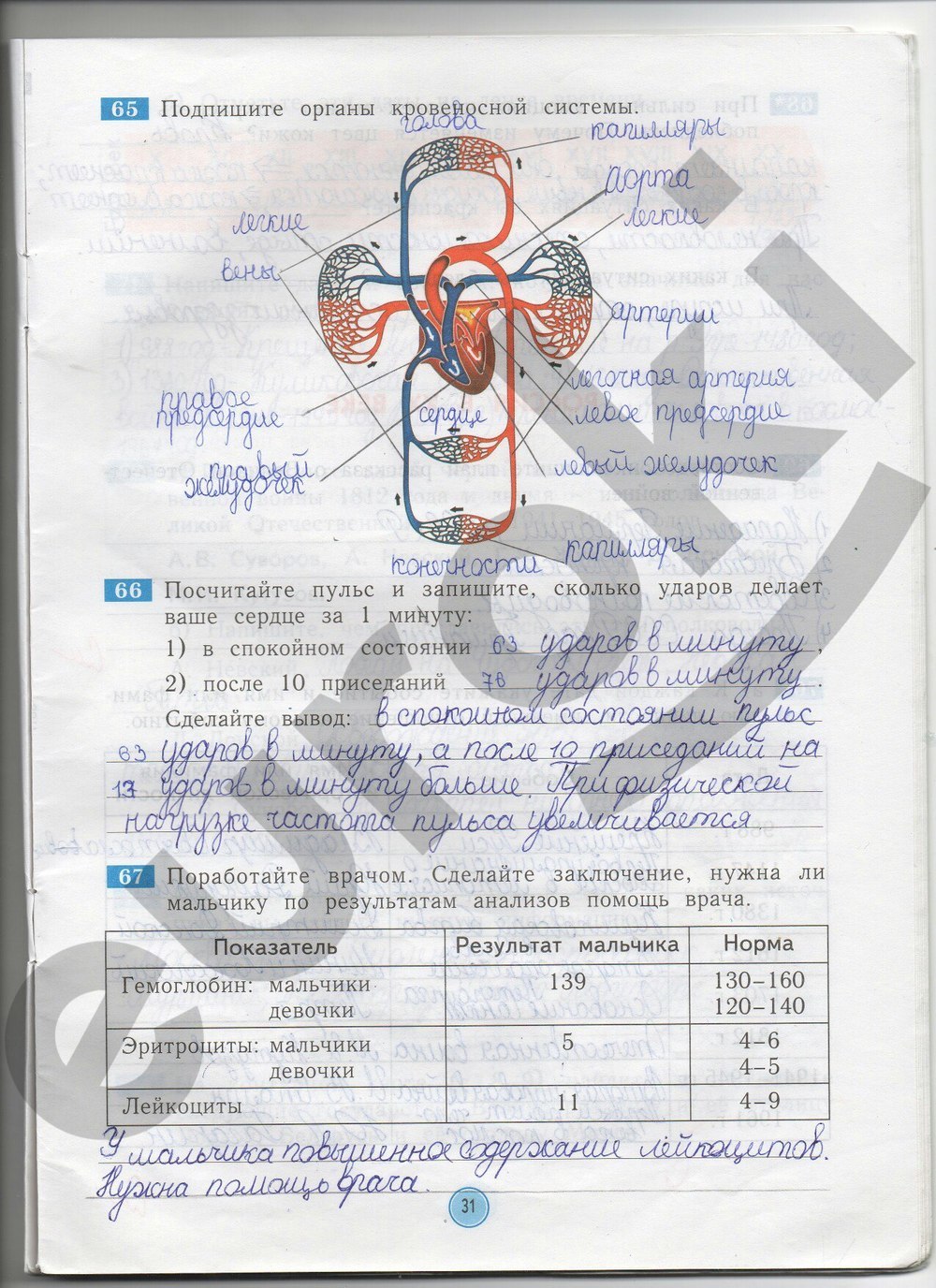 Гдз по окр миру 4 класс рабочая тетрадь дмитриева класс миру рабочая тетрадь гдз дмитриева 4 окр по