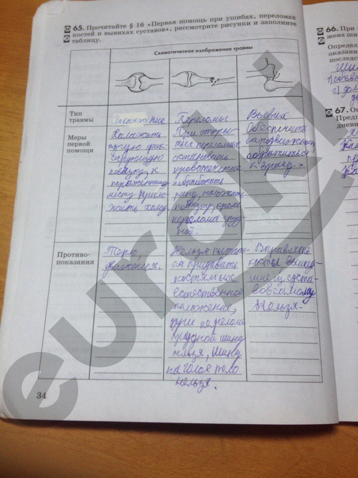 Гдз по биологии дрофа колесов