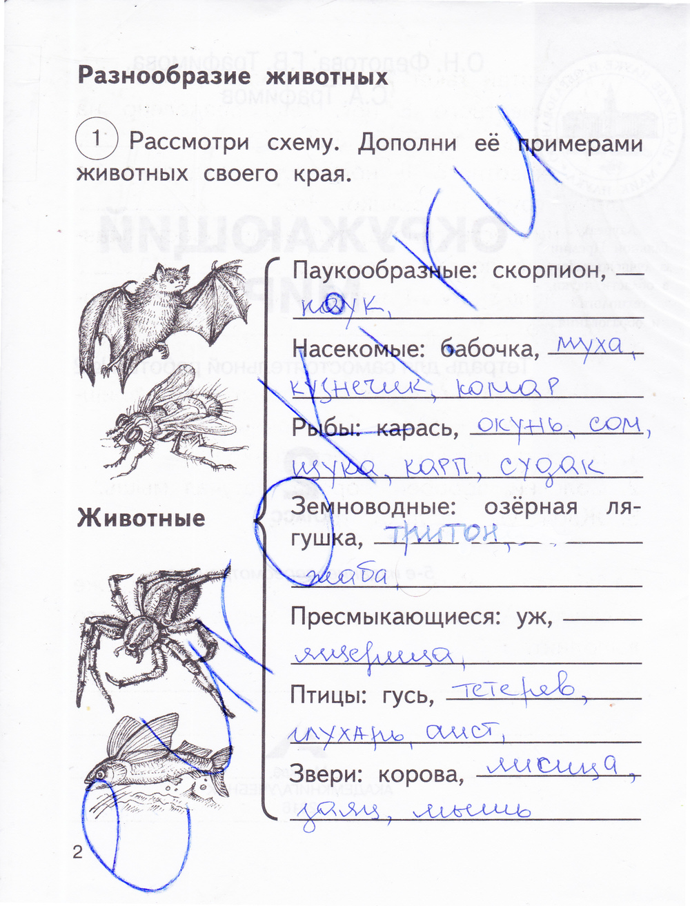 Гдз по окр миру 2 класс федотова 2 часть ответы федотова миру ответы 2 класс гдз окр 2 по часть