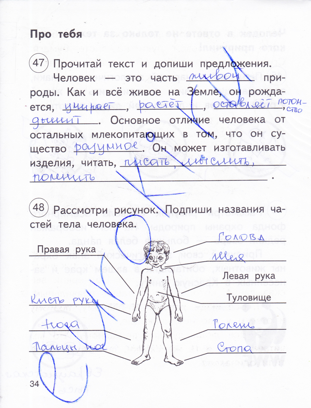 Гдз По Окружающему Миру 2 Класса Рабочая Тетрадь Федотова Гдз по окружающему миру 2 класса рабочая тетрадь федотова